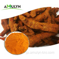 Amulyn Health Care Organic Turmeric Extract.